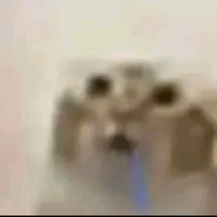 Настя